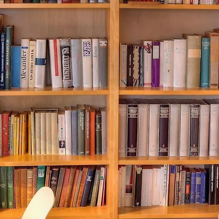 Zoutezoute * 克诺克－海斯特